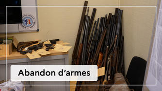 Souvent un héritage» : un millier d'armes à feu collectées par l'État à  Quimper - Le Parisien