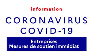 Coronavirus COVID - 19 - Entreprises : Mesures de soutien immédiat