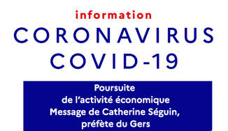 Coronavirus - COVID - 19 - Poursuite de l'activité économique 